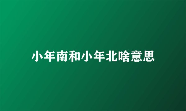 小年南和小年北啥意思