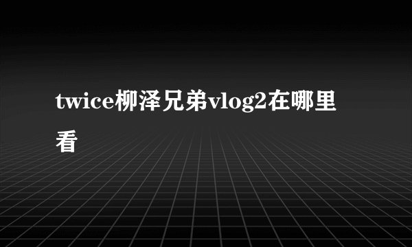 twice柳泽兄弟vlog2在哪里看