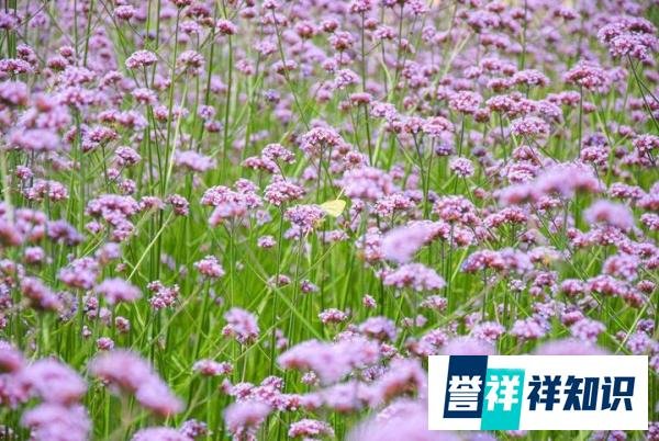 期刊发表论文与非法刊物：评职称必知事项