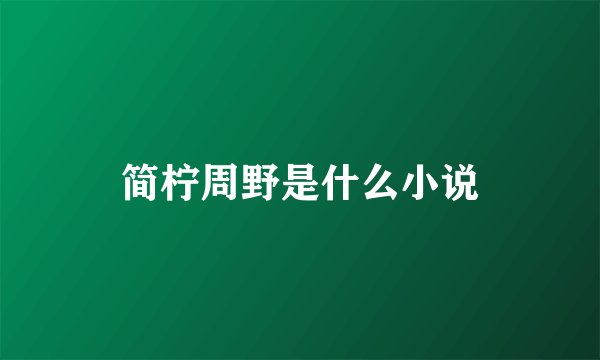 简柠周野是什么小说