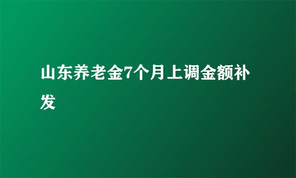 山东养老金7个月上调金额补发