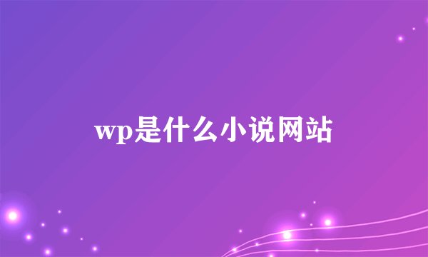 wp是什么小说网站