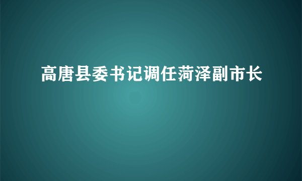 高唐县委书记调任菏泽副市长