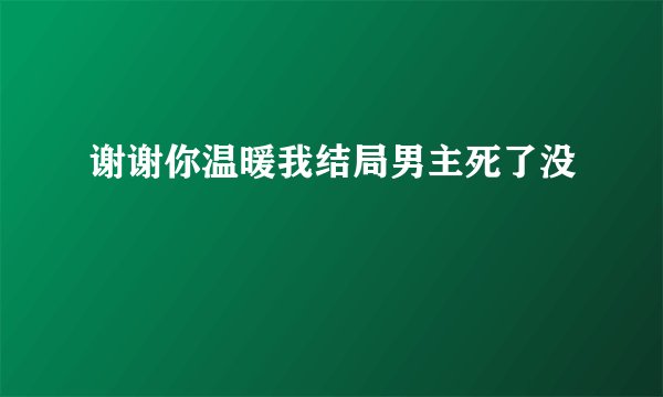 谢谢你温暖我结局男主死了没