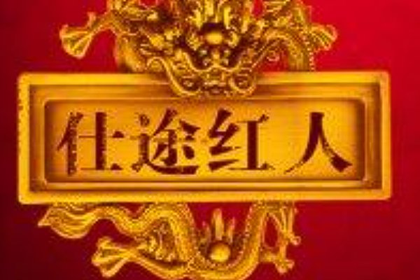 草根从政登顶中央的小说省