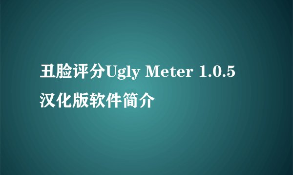 丑脸评分Ugly Meter 1.0.5 汉化版软件简介