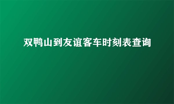双鸭山到友谊客车时刻表查询