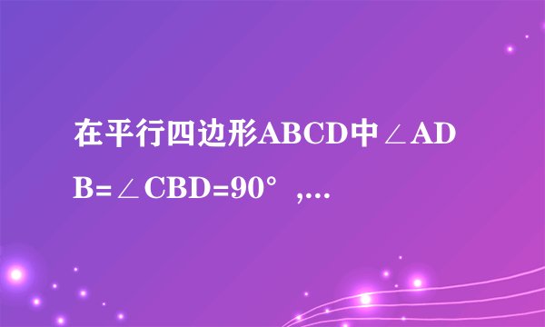 在平行四边形ABCD中∠ADB=∠CBD=90°,BE平行CD交AD与E,且EA=EB,若AB=4根号5,BD=4,,求平行四边形ABCD的面积