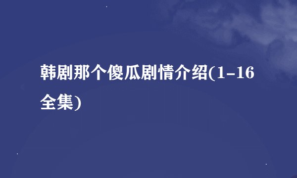 韩剧那个傻瓜剧情介绍(1-16全集)
