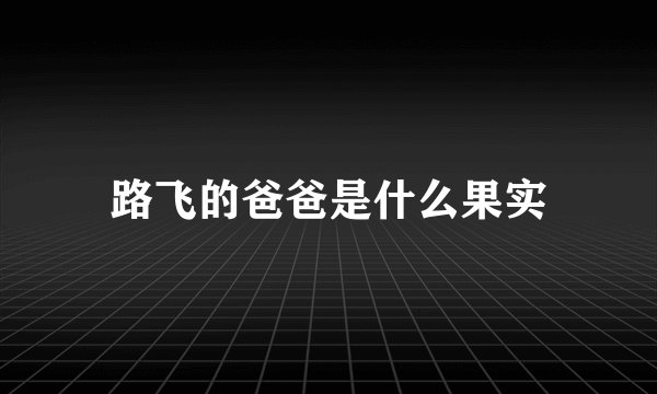 路飞的爸爸是什么果实