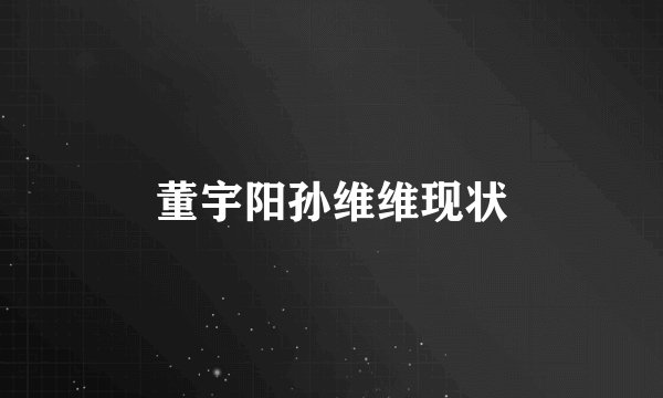 董宇阳孙维维现状