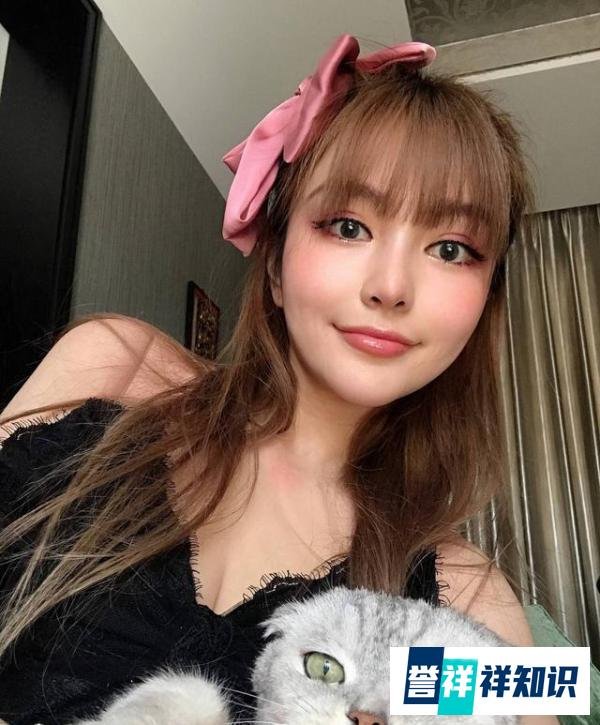 周扬青呼吁不养折耳猫 这是咋情况?
