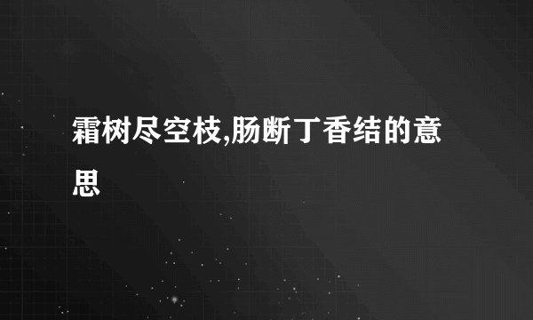 霜树尽空枝,肠断丁香结的意思