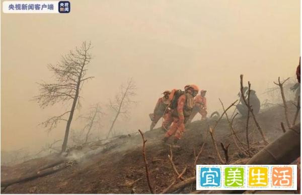 心痛!4名英雄都是80后……