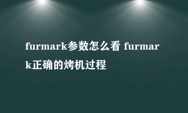 furmark参数怎么看 furmark正确的烤机过程