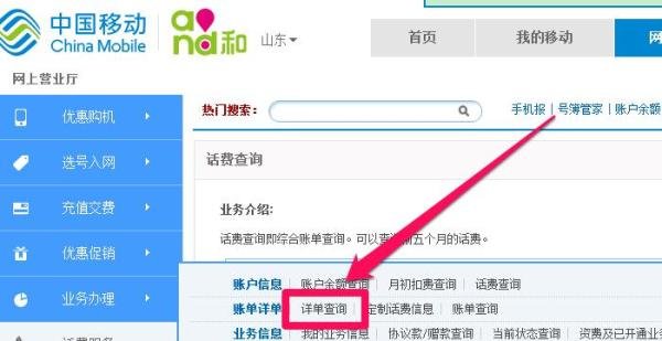 如何查询自己的话费详单