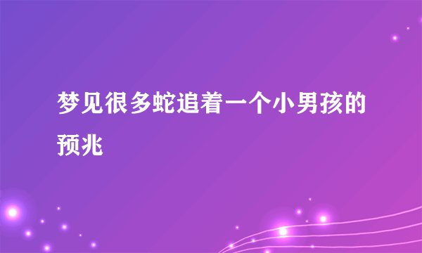 梦见很多蛇追着一个小男孩的预兆