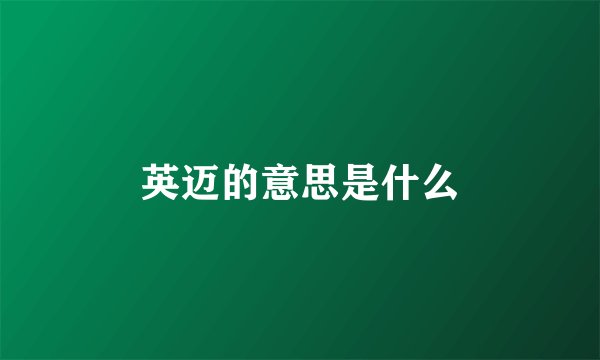英迈的意思是什么