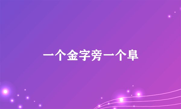 一个金字旁一个阜