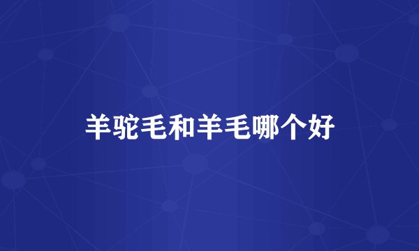 羊驼毛和羊毛哪个好