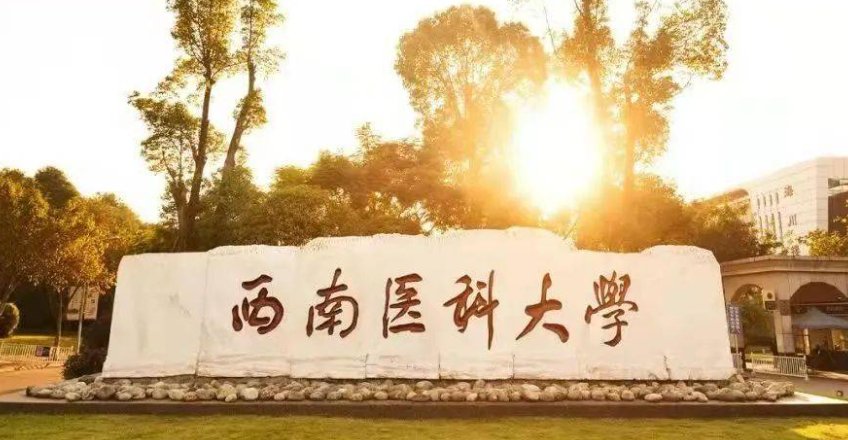 2023西南医科大录取分