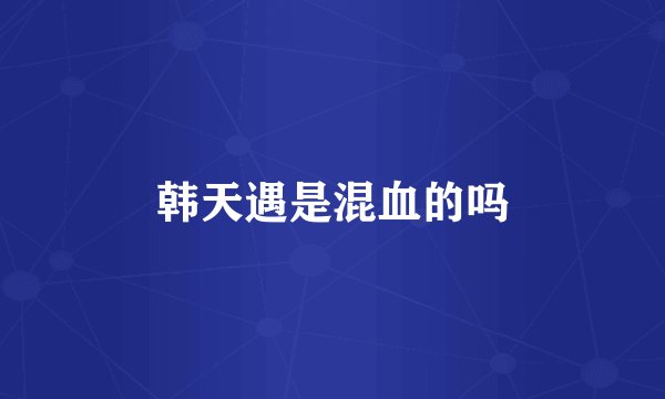 韩天遇是混血的吗