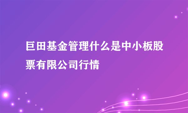 巨田基金管理什么是中小板股票有限公司行情