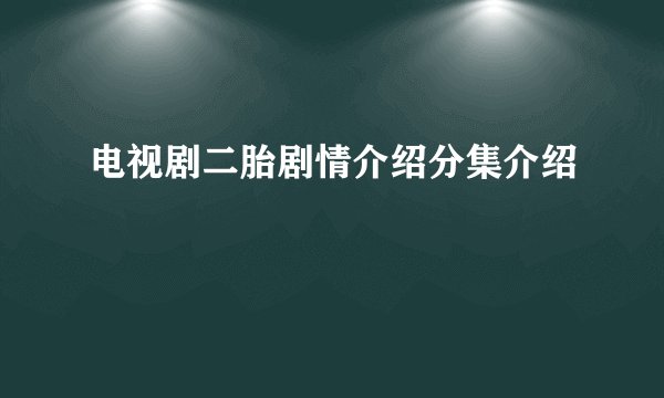 电视剧二胎剧情介绍分集介绍