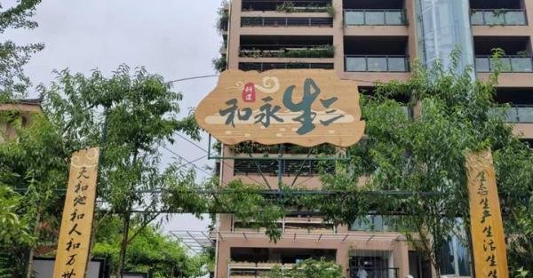 【新农业】高楼也能种菜？立体菜园解锁“不可能”！