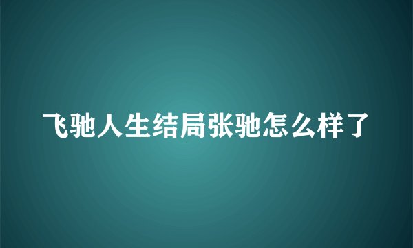 飞驰人生结局张驰怎么样了