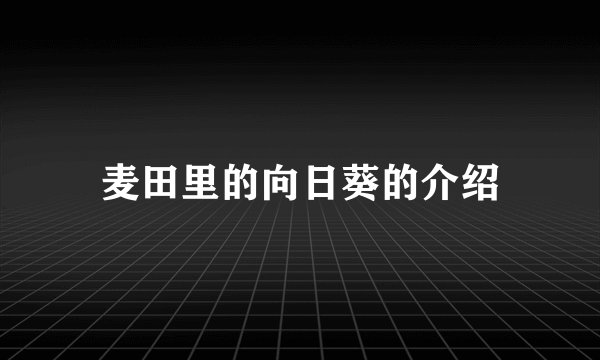 麦田里的向日葵的介绍