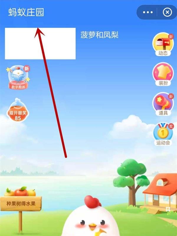 蚂蚁庄园9.8菠萝和凤梨是同一种水果吗答案