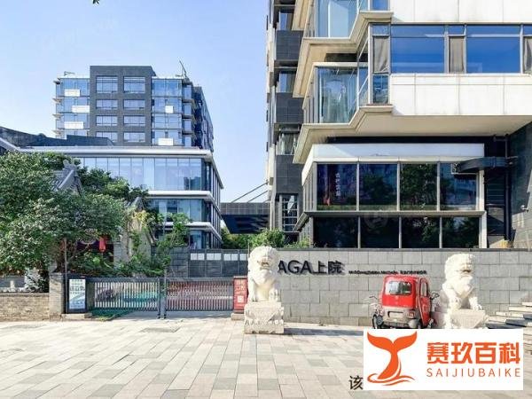 成龙北京两套豪宅被拍卖,瀚海法拍网喜提热搜