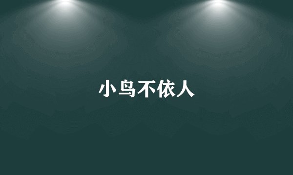 小鸟不依人