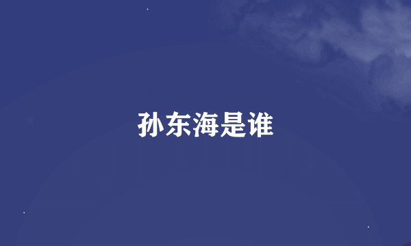 孙东海是谁