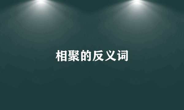 相聚的反义词