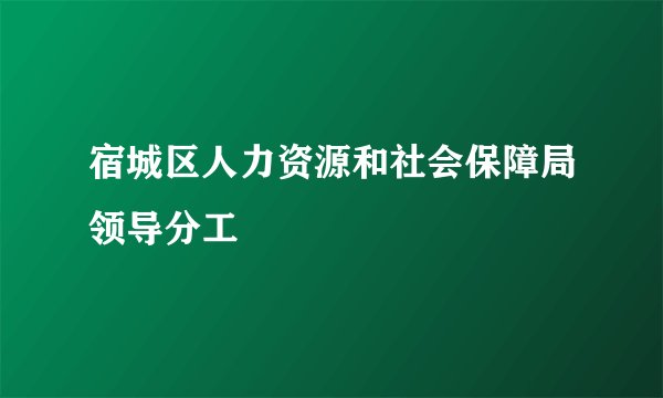 宿城区人力资源和社会保障局领导分工