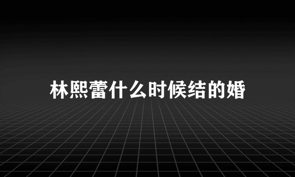 林熙蕾什么时候结的婚