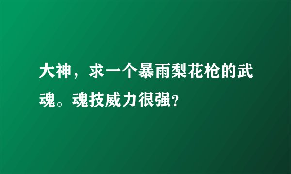 大神，求一个暴雨梨花枪的武魂。魂技威力很强？
