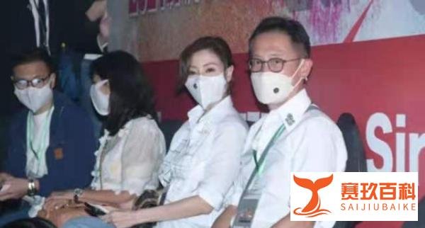 媒体曝黎明演唱会宣布再婚，舞台上表白太太，承认其天王嫂身份