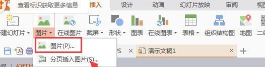 WPS文档怎么插入恭贺新春的背景图