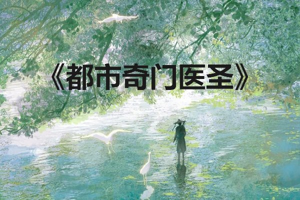 十大最好看的神医小说