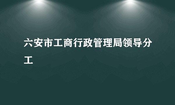 六安市工商行政管理局领导分工