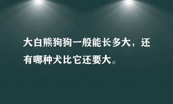 大白熊狗狗一般能长多大，还有哪种犬比它还要大。