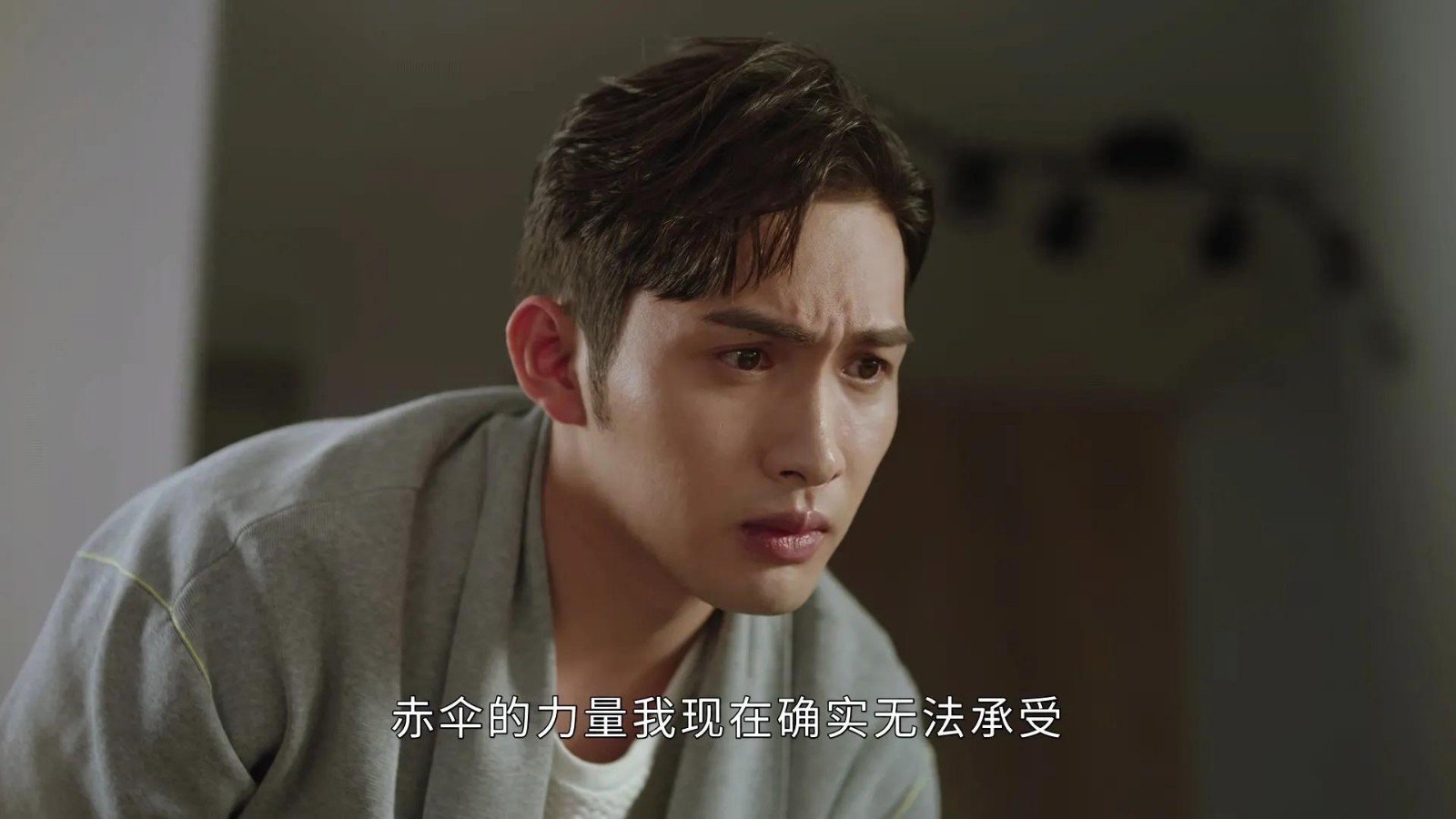 《司藤》里司藤对秦放是什么感情