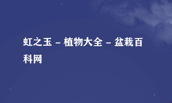 虹之玉 - 植物大全 - 盆栽百科网
