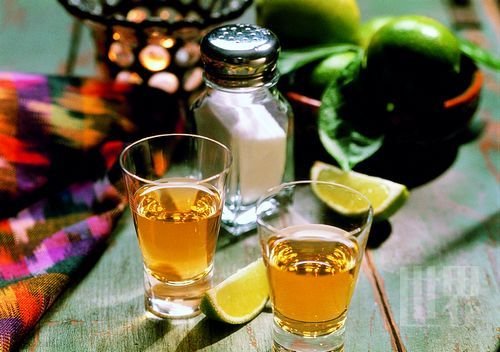 龙舌兰英文tequila