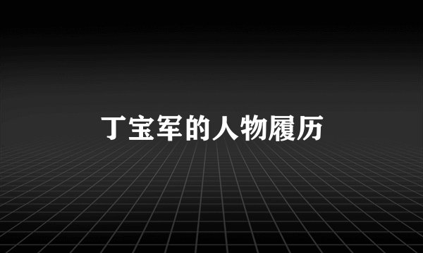 丁宝军的人物履历