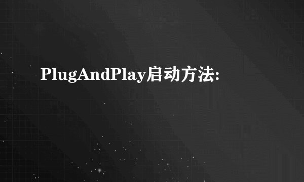 PlugAndPlay启动方法: