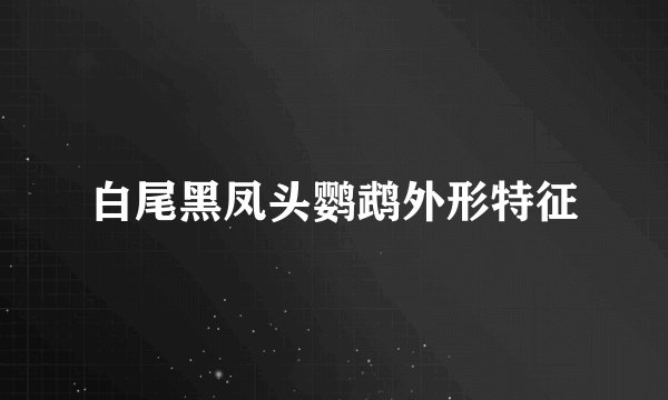 白尾黑凤头鹦鹉外形特征